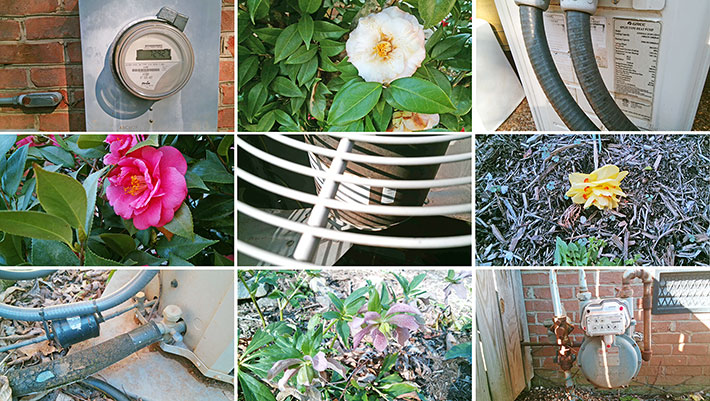 Sample photos taken with the MobileDemand xTablet T8655 rear camera